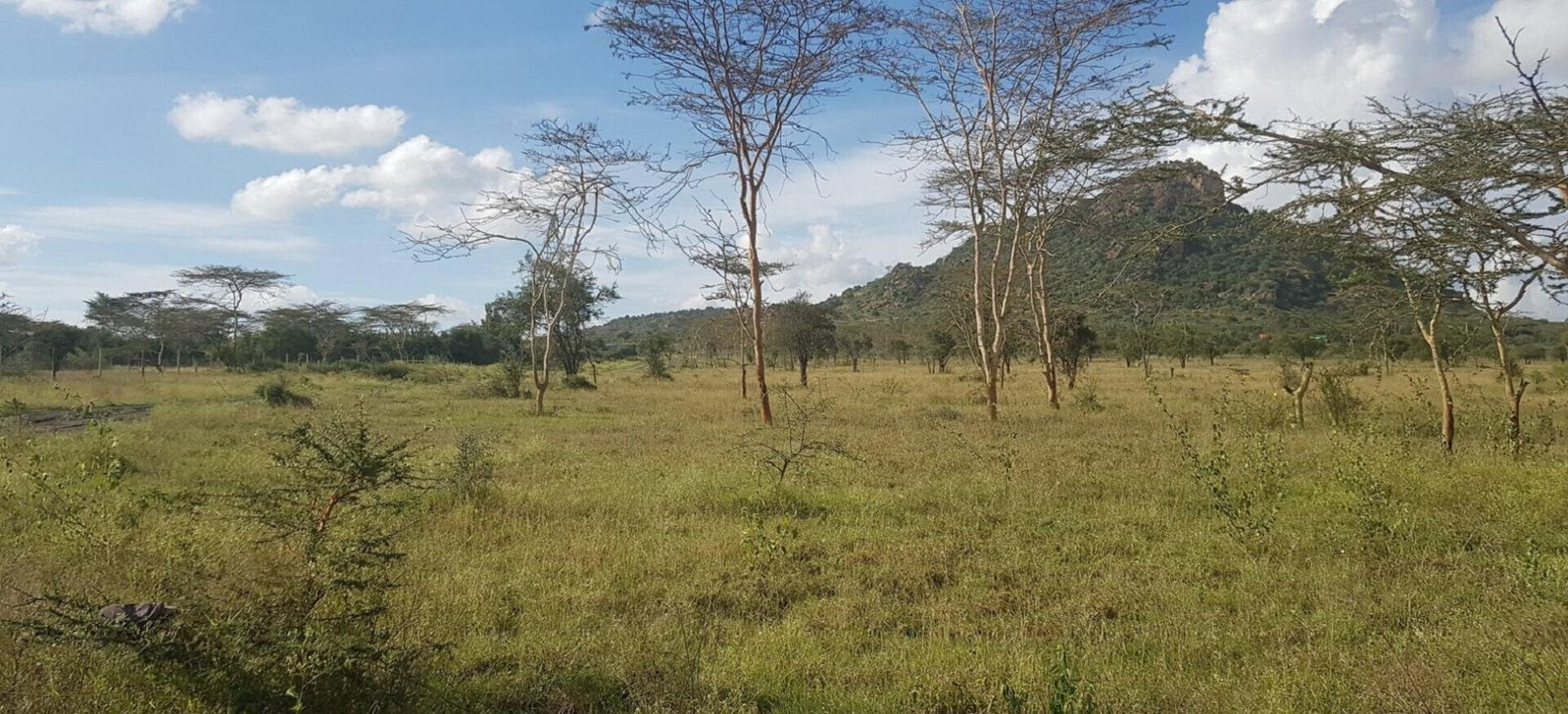 8-Acre Garden Land with Parking - Lukenya
