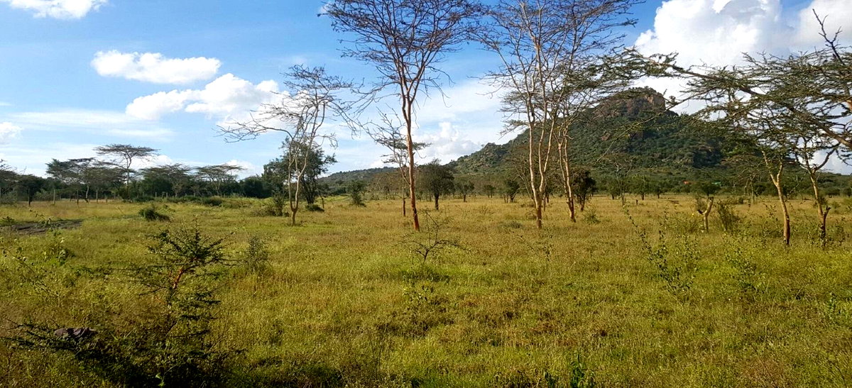 8-Acre Garden Land with Parking - Lukenya