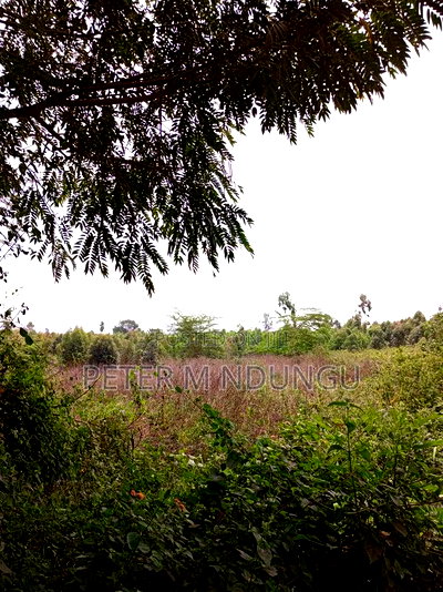 Prime Land on Sale, 60 Acres Muthaiga North - Image 6