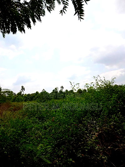 Prime Land on Sale, 60 Acres Muthaiga North - Image 5