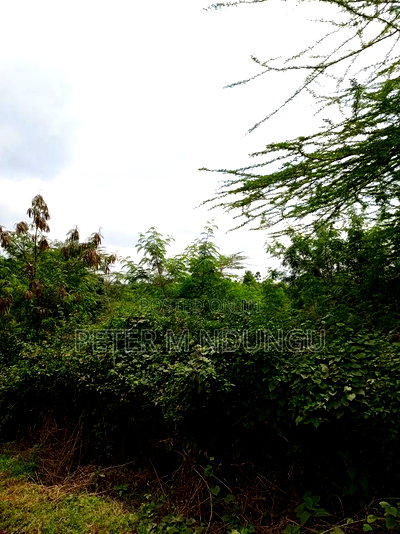 Prime Land on Sale, 60 Acres Muthaiga North - Image 8