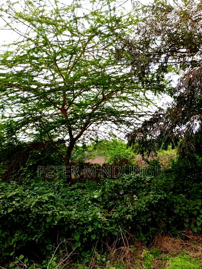 Prime Land on Sale, 60 Acres Muthaiga North - Image 9