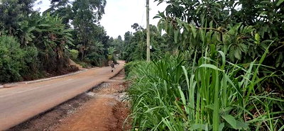 1/2 Acre Available Land for Sale Kabete Gathiga - Image 6