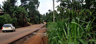 1/2 Acre Available Land for Sale Kabete Gathiga - Image 5