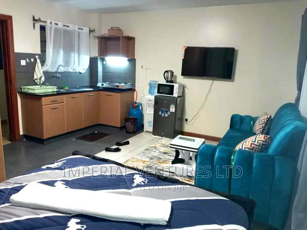 Furnished Studio Apartment in Ngara for rent