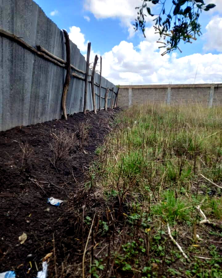 KSh 9.8M Syokimau Plot