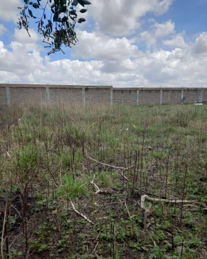 KSh 9.8M Syokimau Plot