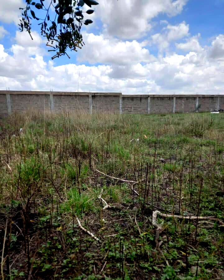 KSh 9.8M Syokimau Plot