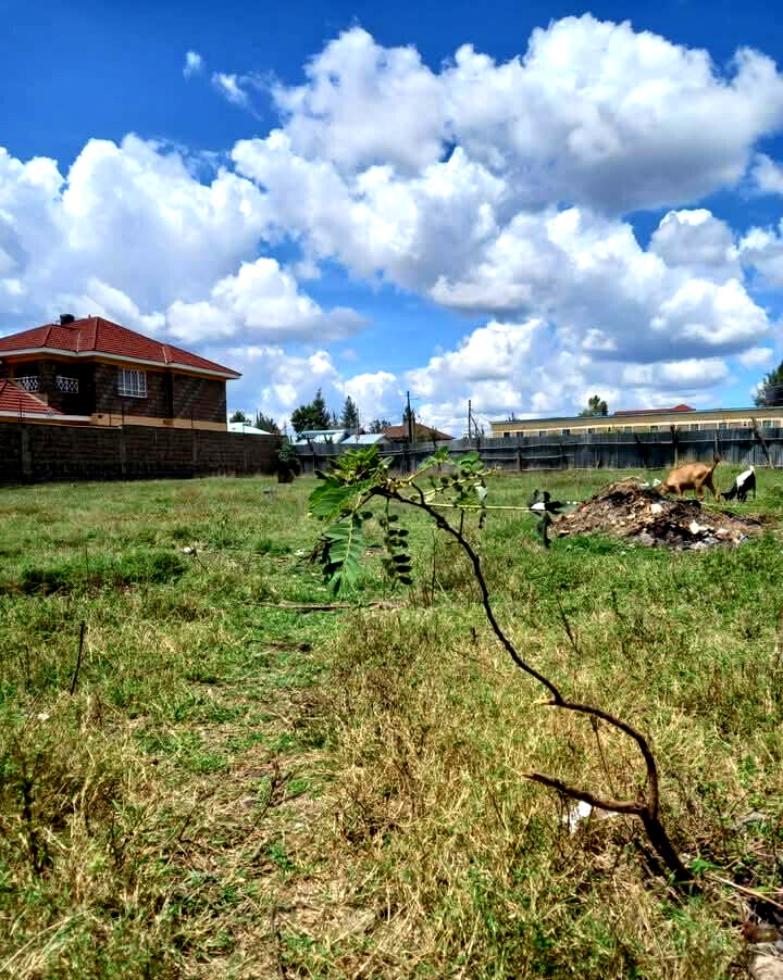 KSh 9.8M Syokimau Plot