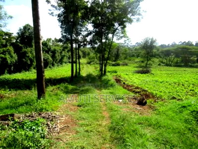 Karen: 0.5 Acre for Sale - Image 2