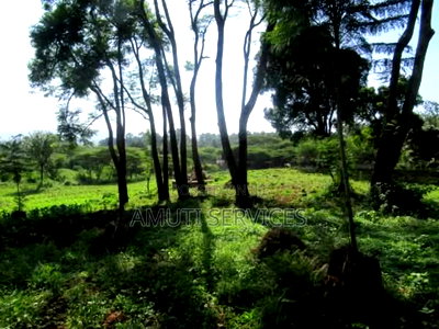 Karen: 0.5 Acre for Sale - Image 4