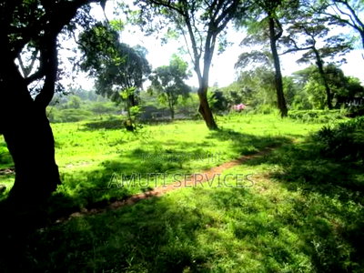 Karen: 0.5 Acre for Sale - Image 1
