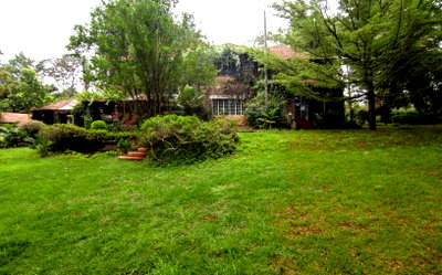 2.9-Acre Spring Valley Plot