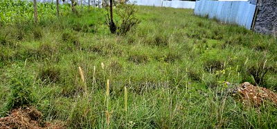 Plot For Sale In Elgonview KUSCO Plots Eldoret - Image 3