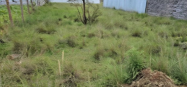 Plot For Sale In Elgonview KUSCO Plots Eldoret