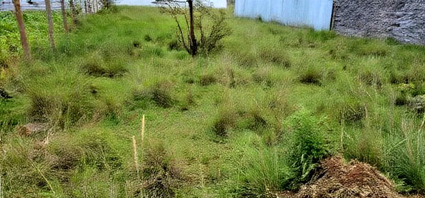 Plot For Sale In Elgonview KUSCO Plots Eldoret