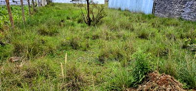 Plot For Sale In Elgonview KUSCO Plots Eldoret - Image 2