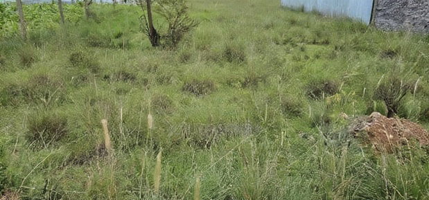 Plot For Sale In Elgonview KUSCO Plots Eldoret