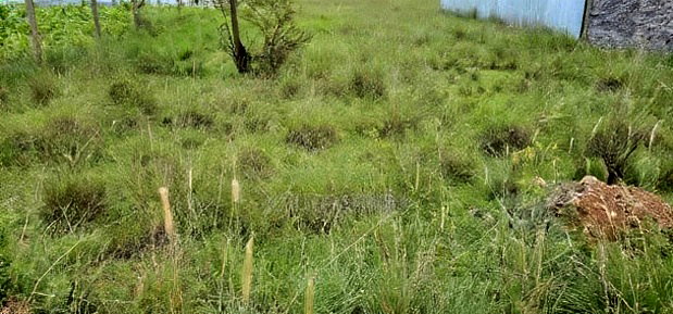 Plot For Sale In Elgonview KUSCO Plots Eldoret