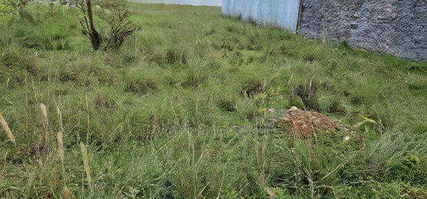 Plot For Sale In Elgonview KUSCO Plots Eldoret