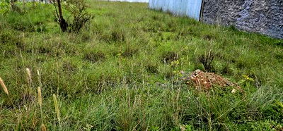 Plot For Sale In Elgonview KUSCO Plots Eldoret - Image 4