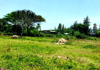 KSh 600K Chiga Residential Plot