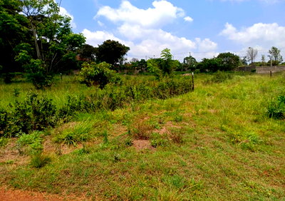 20-Acre Muthaiga Land at KSh 85M