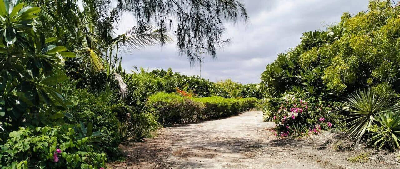 4-Acre Watamu Retreat with Mature Gardens & Ready Title
