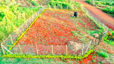 Your Dream Property Awaits at Oaklands - Image 1