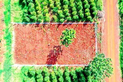 Your Dream Property Awaits at Oaklands - Image 2