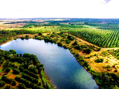 Your Dream Property Awaits at Oaklands - Image 5