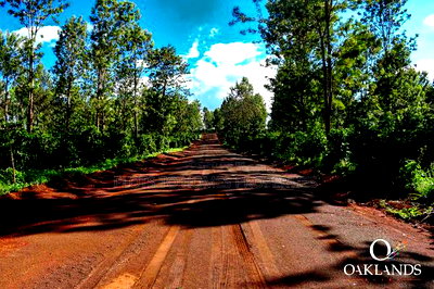 Your Dream Property Awaits at Oaklands - Image 4