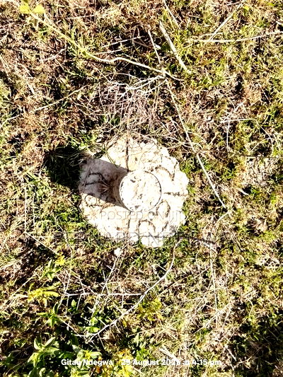 50 by 100 Plots in Kiserian - Image 3