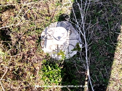 50 by 100 Plots in Kiserian - Image 2