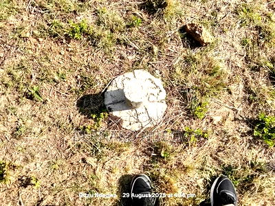 50 by 100 Plots in Kiserian - Image 4