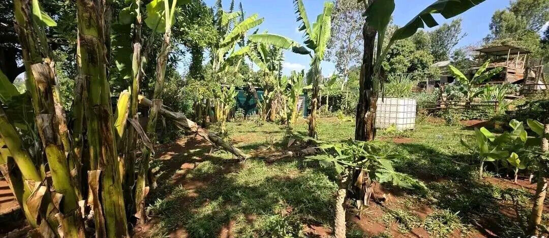 Garden Plot with Parking at KSh 5.5M