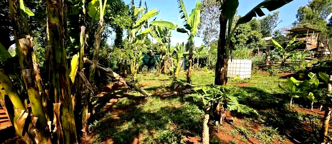 Garden Plot with Parking at KSh 5.5M
