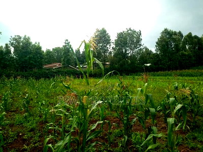 50*100 Serviced Plot's in Ngong Ololua Area - Image 3