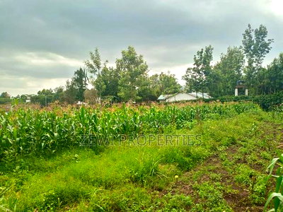 50*100 Serviced Plot's in Ngong Ololua Area - Image 1