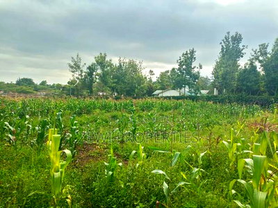 50*100 Serviced Plot's in Ngong Ololua Area - Image 4