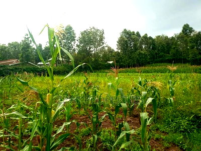 50*100 Serviced Plot's in Ngong Ololua Area - Image 2