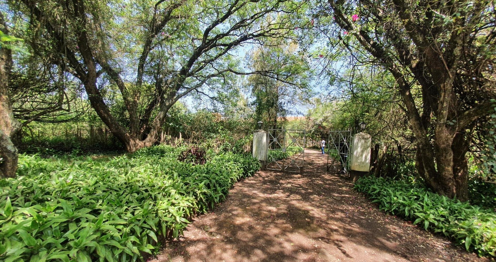 Half-Acre Residential Plot with Hillcrest Views – Karen