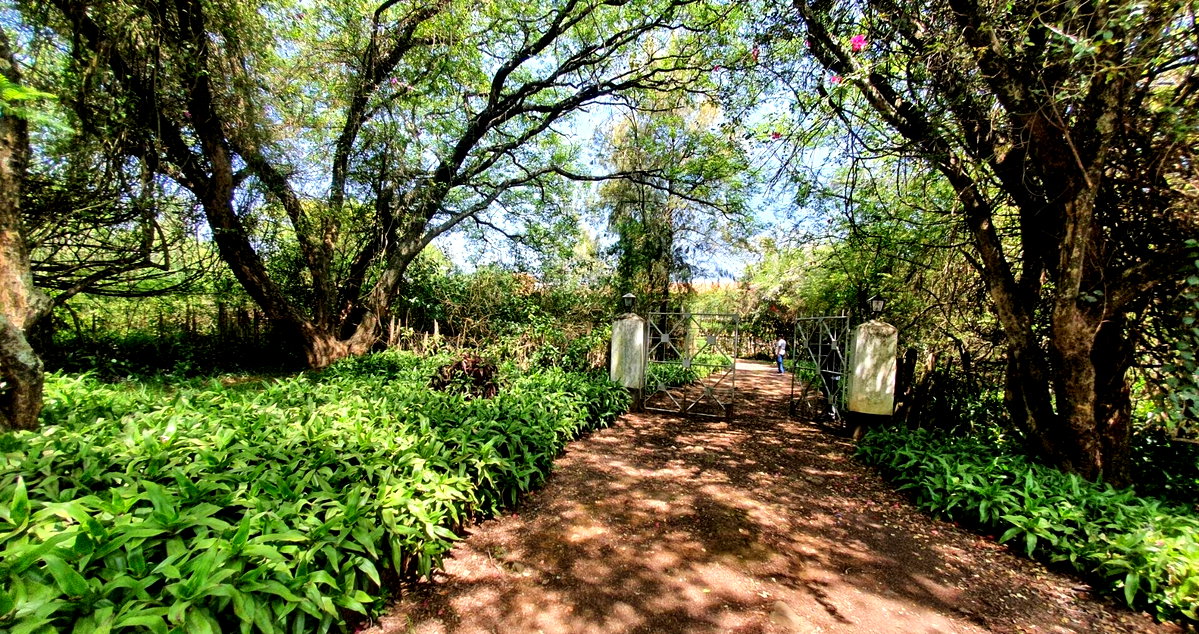 Half-Acre Residential Plot with Hillcrest Views – Karen
