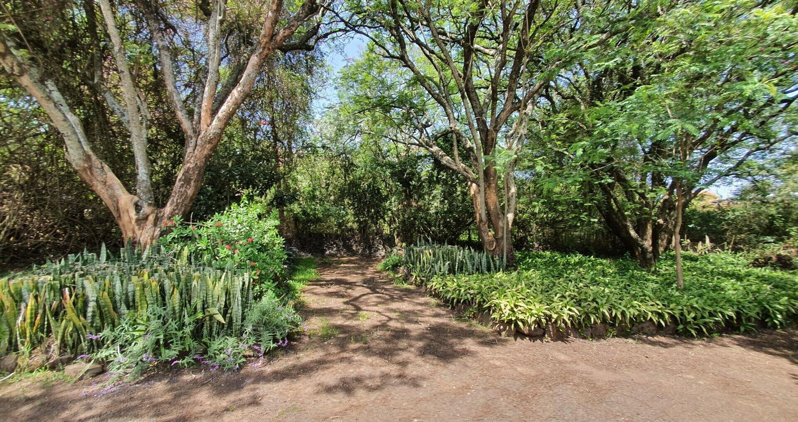 Half-Acre Residential Plot with Hillcrest Views – Karen