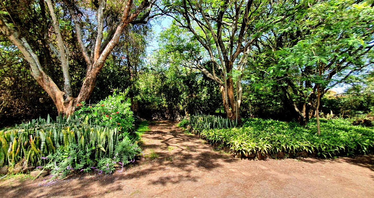 Half-Acre Residential Plot with Hillcrest Views – Karen