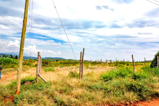 Prime Residential Plot for Sale in Kikuyu, Nachu.