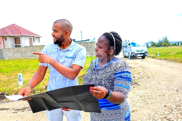 Ready to Build Plots in Malaa