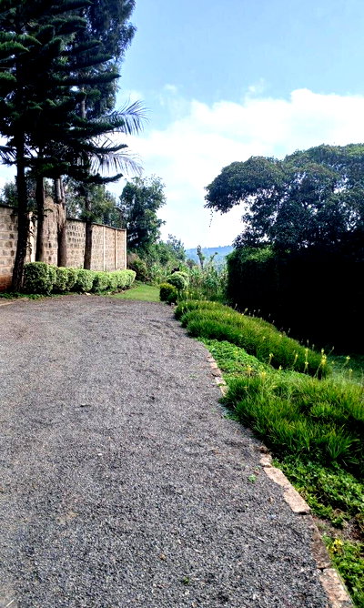 Quarter Acre Plot in Matasia
