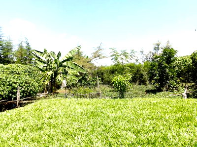 4bdrm House in Kwampoya,, Kiserian for sale - Image 7