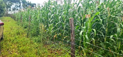 Plots for Sale Opposite Proposed MTRH Kiplombe in Eldoret - Image 1